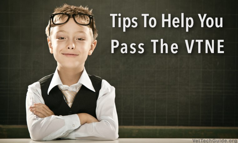 tips to pass the vtne