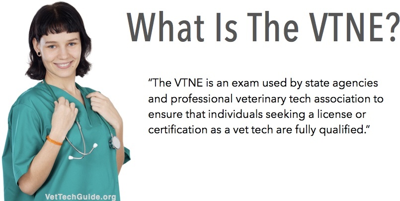 what is the vtne
