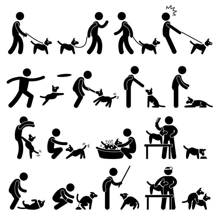 Veterinary Behavior Technician