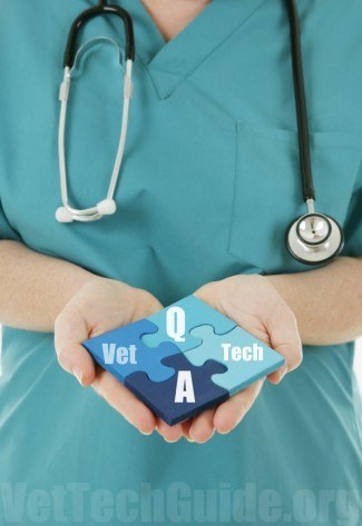 vet tech questions and answers
