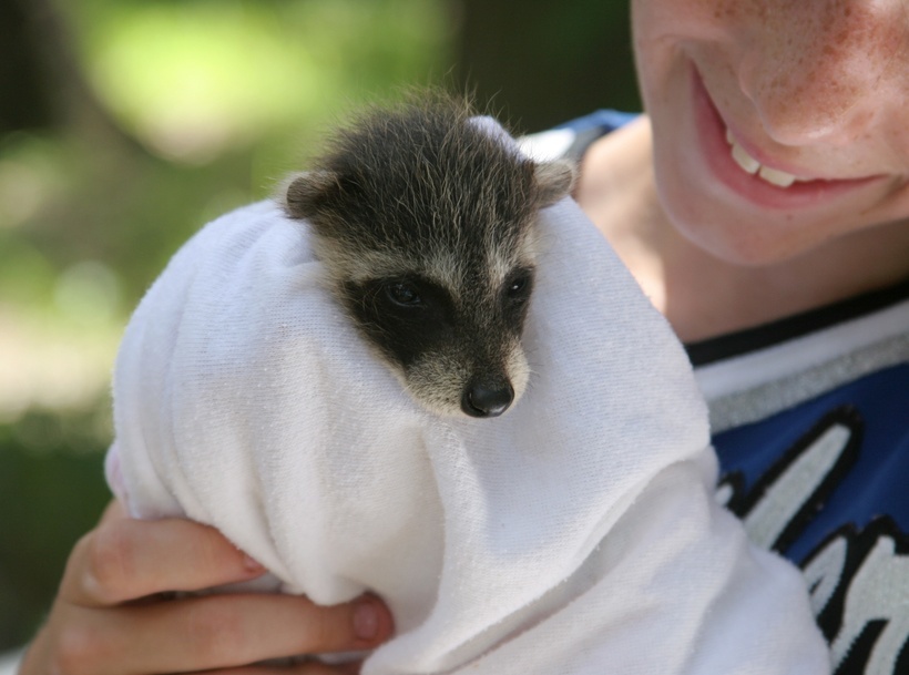 vet tech volunteer