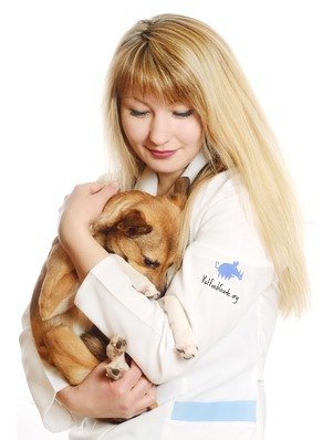 aring veterinarian holding a puppy